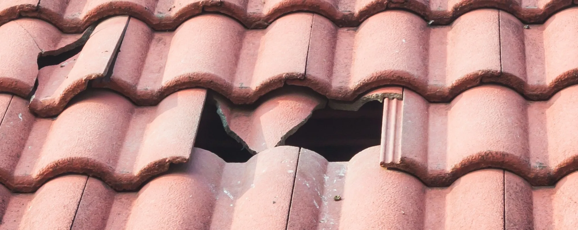 Roof repairs by ProActive Roofing