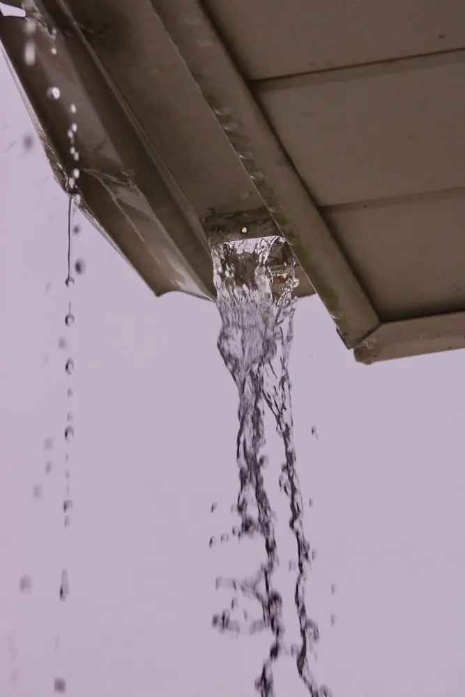 ProActive Roofing: Roofers for all roof repairs: ProActive Roofing